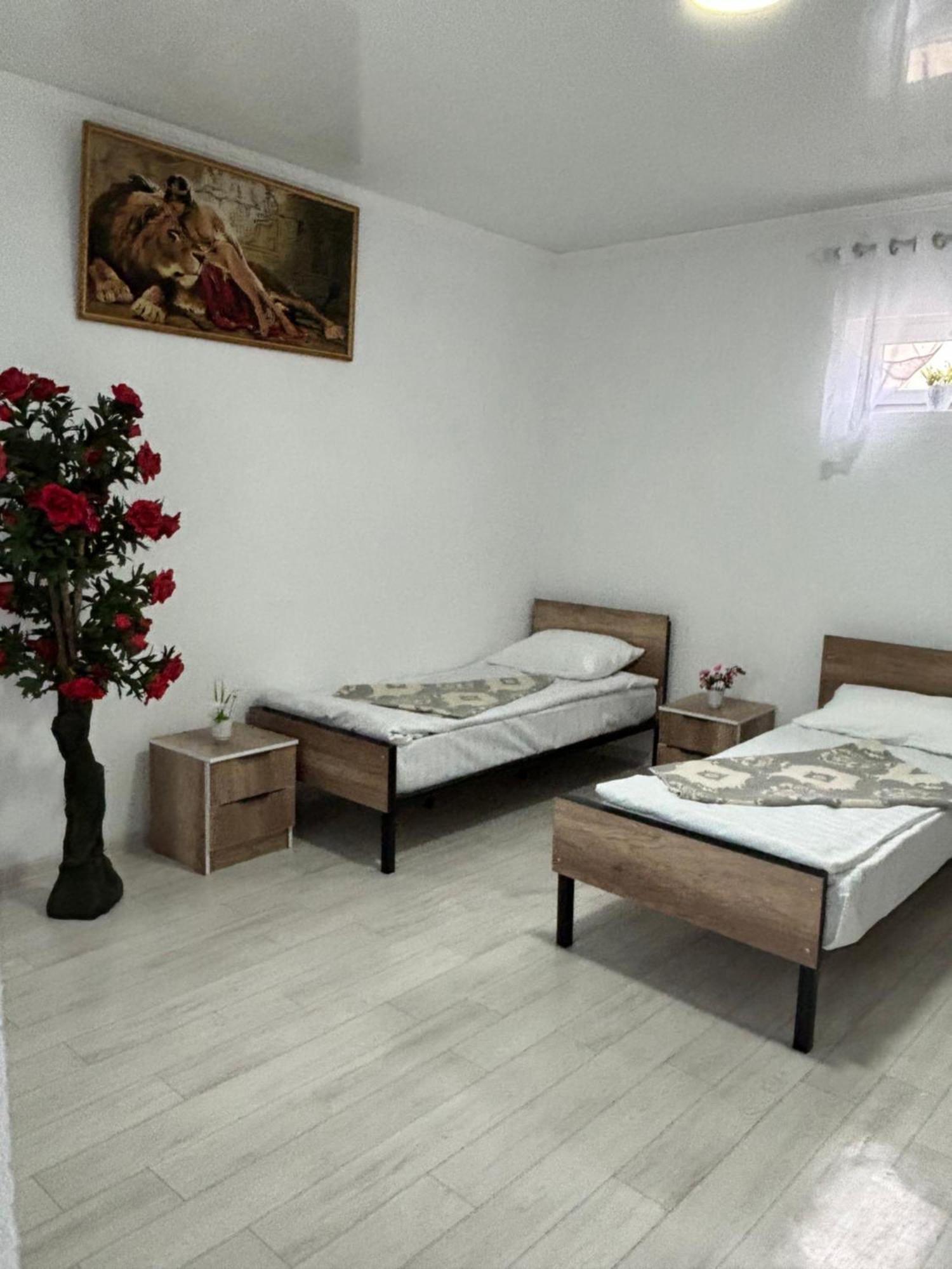 Hostel,Halal Хостел,Халал Tokmok エクステリア 写真
